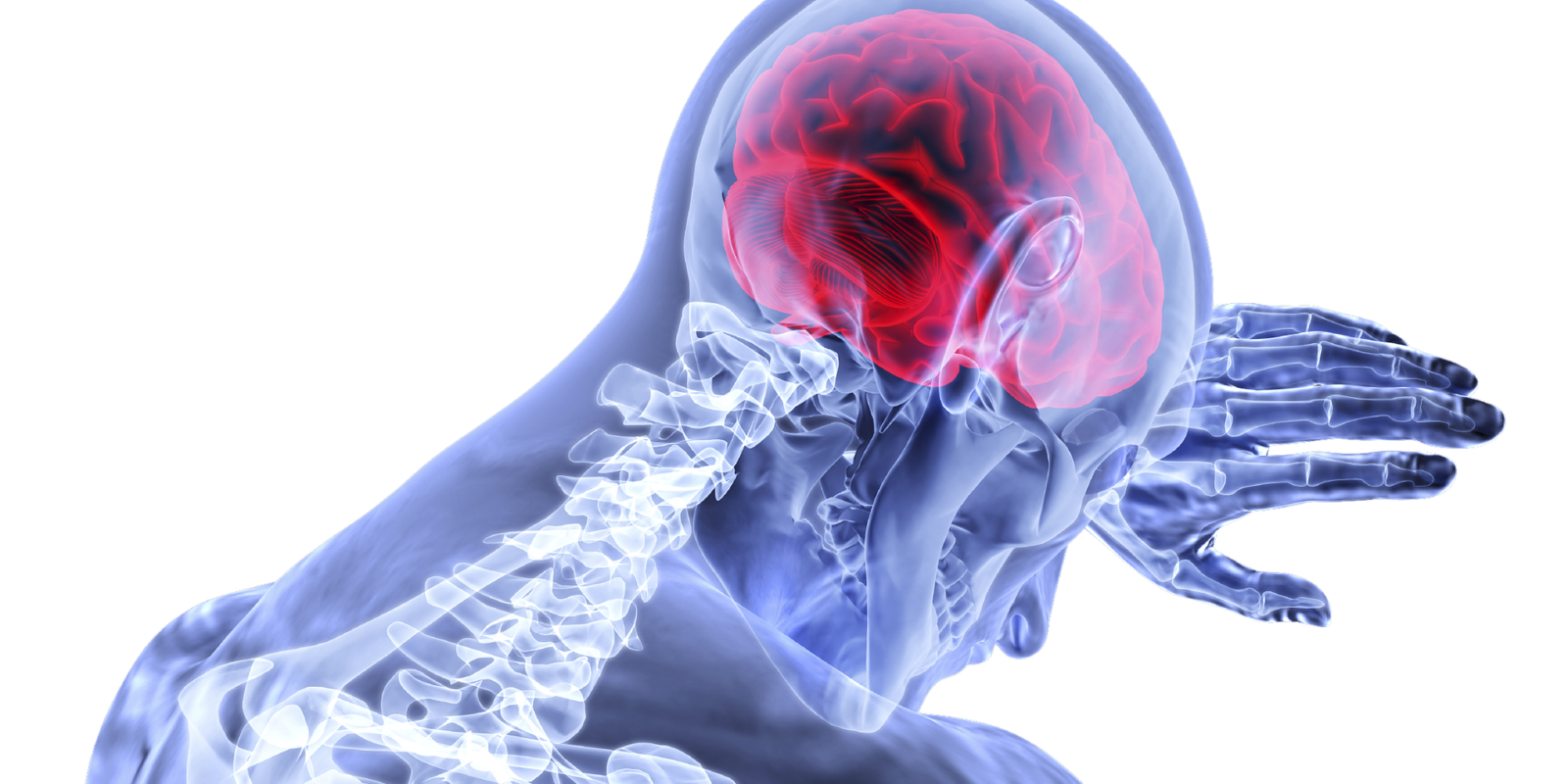 What Is Neurology? - Neurology Center For Epilepsy & Seizures